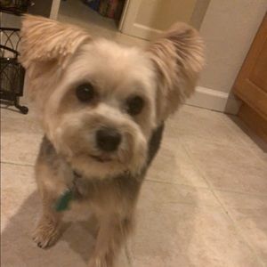 Meet your Posher, Avery